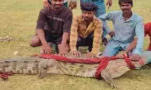 MP News: मछली पकड़ने गए थे और बड़ा सौदा हाथ लगा, जब निकाला तो चौंक गए