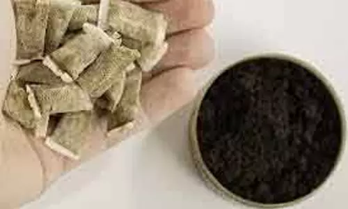 जम्मू-कश्मीर: कठुआ में कूल लिप तंबाकू उत्पाद की बिक्री और भंडारण पर प्रतिबंध