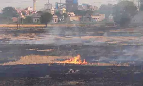 Gurdaspur प्रशासन ने पराली जलाने पर रोक लगाने के लिए तैनात शिक्षकों की ड्यूटी रद्द की Gurdaspur प्रशासन ने पराली जलाने पर रोक लगाने के लिए तैनात शिक्षकों की ड्यूटी रद्द की