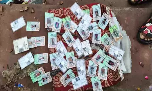 MP News: तालाब में मिले सैंकड़ों मतदाता पहचान पत्र, मचा हड़कंप MP News: तालाब में मिले सैंकड़ों मतदाता पहचान पत्र, मचा हड़कंप