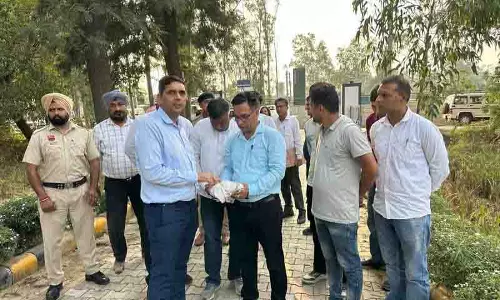 Punjab: फसल नुकसान पर विशेष गिरदावरी 7 अक्टूबर तक पूरी हो जाएगी