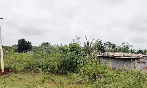 Karnataka : अधिकारियों ने बिजली कनेक्शन देने से किया इनकार