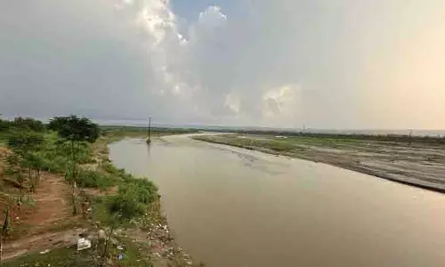 Punjab ने स्वान पर काबू पाने के लिए 1,000 करोड़ रुपये की योजना तैयार की Punjab ने स्वान पर काबू पाने के लिए 1,000 करोड़ रुपये की योजना तैयार की