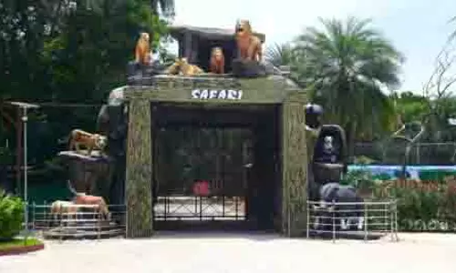 Hyderabad Zoo आगंतुकों के लिए सफारी अनुभव को बेहतर बनाने के लिए तैयार