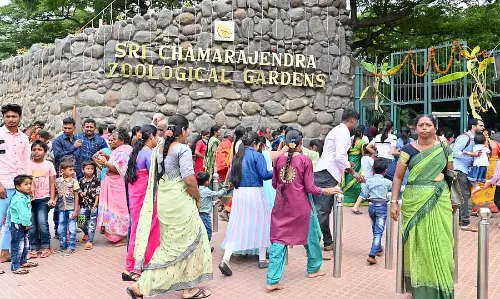 1.56 लाख लोगों ने चिड़ियाघर का दौरा किया: ₹191.37 लाख एकत्र हुए