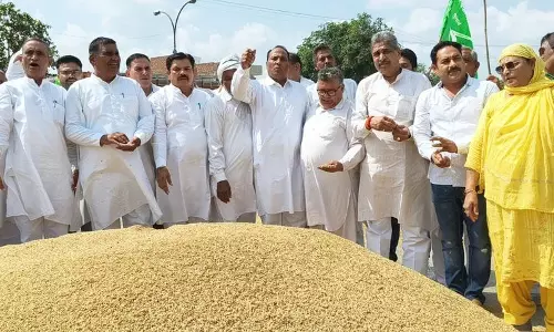 Haryana सरकार पर धान की नमी को लेकर किसानों का शोषण करने का आरोप लगाया