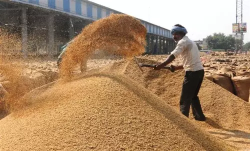 Haryana : सरकार पर एमएसपी से कम पर धान खरीद कर किसानों को लूटने का लगाया आरोप Haryana : सरकार पर एमएसपी से कम पर धान खरीद कर किसानों को लूटने का लगाया आरोप