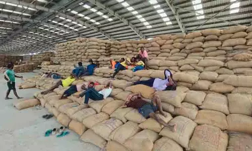 Chandigarh के सेक्टर 39 अनाज मंडी में धान की आवक तेज हो गई Chandigarh के सेक्टर 39 अनाज मंडी में धान की आवक तेज हो गई