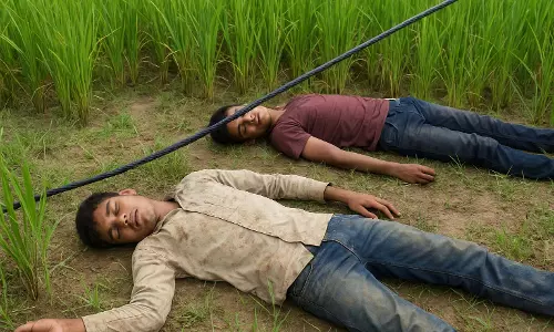 करंट लगने से दो सगे भाइयों की मौत, खेत में अचानक गिरा हाईटेंशन तार करंट लगने से दो सगे भाइयों की मौत, खेत में अचानक गिरा हाईटेंशन तार