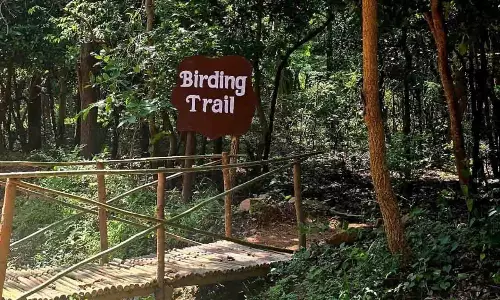 Odisha: देबरीगढ़ वन्यजीव अभयारण्य में बर्डिंग ट्रेल शुरू Odisha: देबरीगढ़ वन्यजीव अभयारण्य में बर्डिंग ट्रेल शुरू