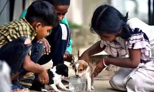 Uttarakhand: हर दिन तीन बच्चे लापता, बाल सुरक्षा पर चिंता बढ़ी