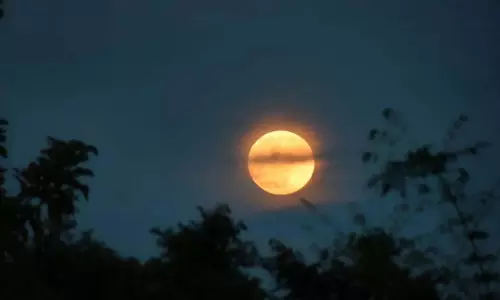 Sharad Purnima व्रत: जानिए चमत्कारिक फायदे और पूरी कथा Sharad Purnima व्रत: जानिए चमत्कारिक फायदे और पूरी कथा
