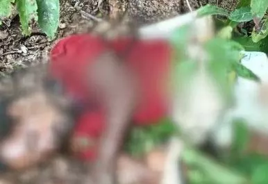 चरवाहे को जंगली हाथियों ने कुचला, मौत चरवाहे को जंगली हाथियों ने कुचला, मौत