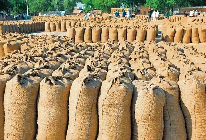 अब तक किसानों को MSP के रूप में 543.66 करोड़ रुपये का भुगतान किया गया अब तक किसानों को MSP के रूप में 543.66 करोड़ रुपये का भुगतान किया गया