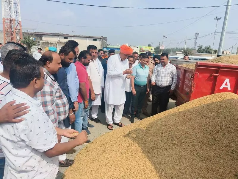 Haryana : धान का एक-एक दाना एमएसपी पर खरीदा जाएगा राणा Haryana : धान का एक-एक दाना एमएसपी पर खरीदा जाएगा राणा