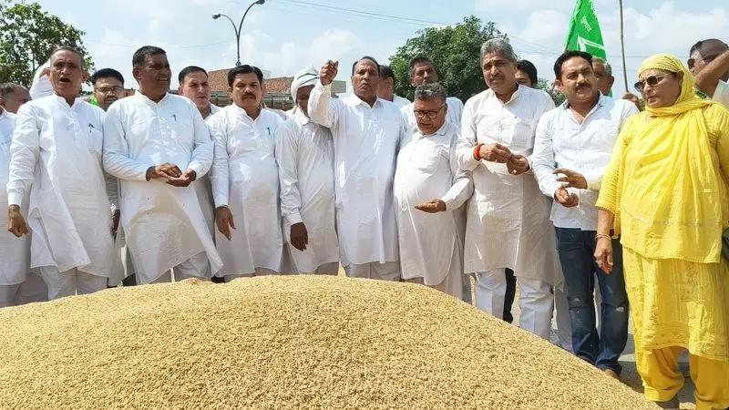 Haryana सरकार पर धान की नमी को लेकर किसानों का शोषण करने का आरोप लगाया Haryana सरकार पर धान की नमी को लेकर किसानों का शोषण करने का आरोप लगाया