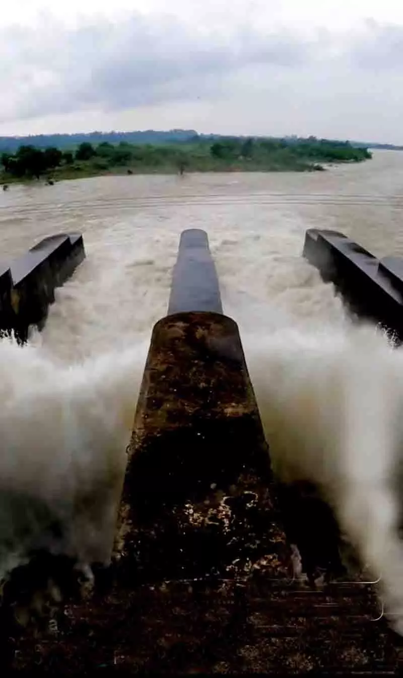Himachal: पोंग बांध से 50,000 क्यूसेक पानी छोड़ा गया Himachal: पोंग बांध से 50,000 क्यूसेक पानी छोड़ा गया