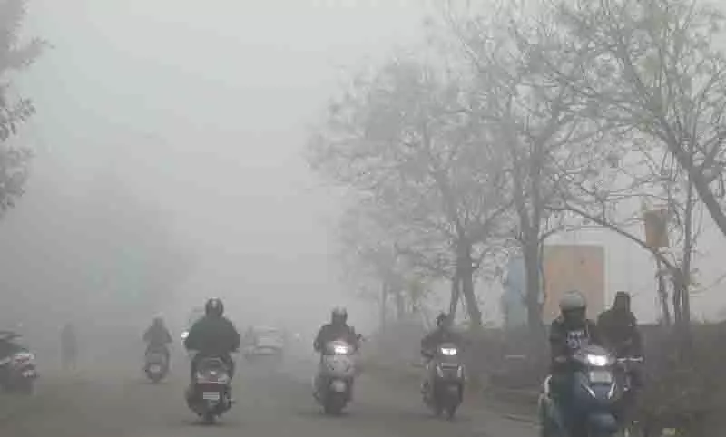 Phagwara में मौसम का पहला कोहरा, तापमान 4 डिग्री सेल्सियस गिरा, बारिश की संभावना Phagwara में मौसम का पहला कोहरा, तापमान 4 डिग्री सेल्सियस गिरा, बारिश की संभावना