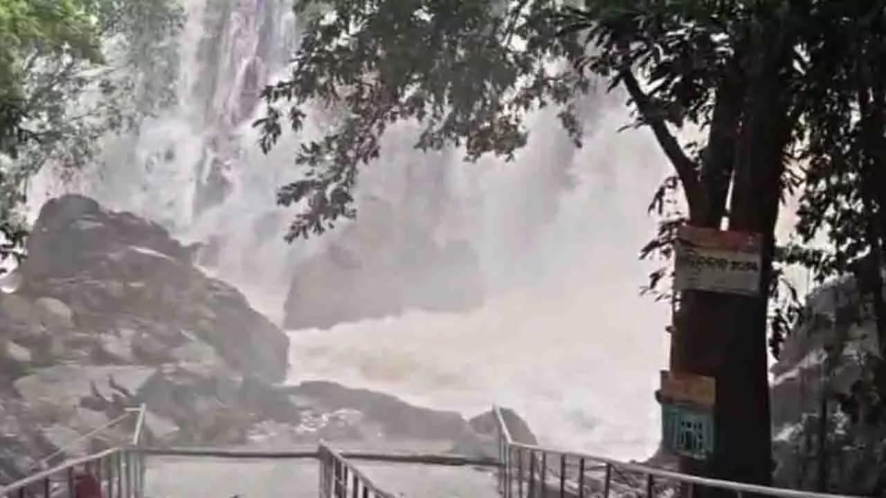 Keonjhar: गुंडिचाघागी झरने में युवक लापता, तलाशी अभियान जारी Keonjhar: गुंडिचाघागी झरने में युवक लापता, तलाशी अभियान जारी