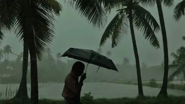 IMD ने केरल में रविवार से गरज और बारिश की भविष्यवाणी की IMD ने केरल में रविवार से गरज और बारिश की भविष्यवाणी की