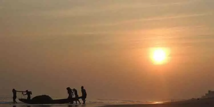 Astaranga समुद्र तट पर मृत जेलीफ़िश ने चिंता बढ़ा दी Astaranga समुद्र तट पर मृत जेलीफ़िश ने चिंता बढ़ा दी