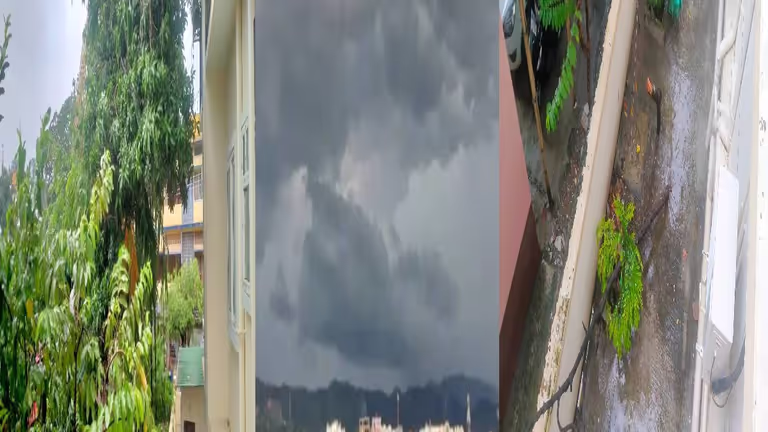 Assam में अचानक तूफान और भारी बारिश, IMD ने कई जिलों के लिए ऑरेंज अलर्ट जारी किया Assam में अचानक तूफान और भारी बारिश, IMD ने कई जिलों के लिए ऑरेंज अलर्ट जारी किया