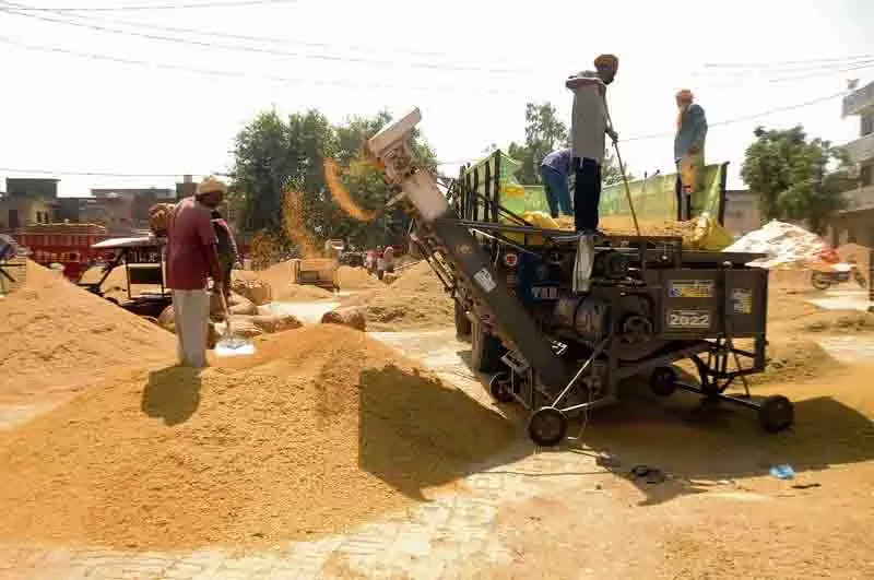 Amritsar: जिला प्रशासन ने कटाई में तेजी के बीच सुचारू धान खरीद सुनिश्चित की Amritsar: जिला प्रशासन ने कटाई में तेजी के बीच सुचारू धान खरीद सुनिश्चित की