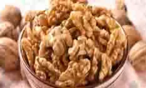 Walnut water: जानिए सुबह अखरोट का पानी पीने के फायदे Walnut water: जानिए सुबह अखरोट का पानी पीने के फायदे