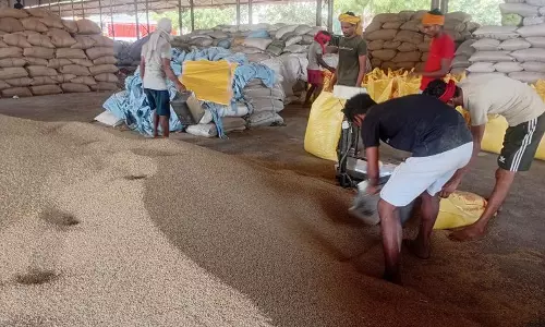 Haryana :  कृषि पोर्टल घोटालेबाजों के लिए आसान साधन क्यों बन रहे हैं
