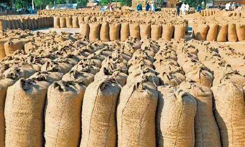 अब तक किसानों को MSP के रूप में 543.66 करोड़ रुपये का भुगतान किया गया अब तक किसानों को MSP के रूप में 543.66 करोड़ रुपये का भुगतान किया गया