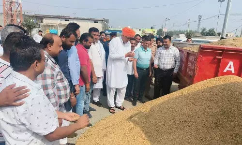 Haryana : धान का एक-एक दाना एमएसपी पर खरीदा जाएगा राणा Haryana : धान का एक-एक दाना एमएसपी पर खरीदा जाएगा राणा