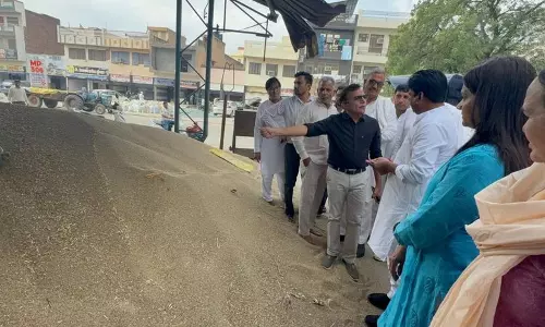 व्याख्याकार क्यों हिसार और भिवानी के किसान बाजरे की संकटपूर्ण बिक्री का सहारा ले रहे व्याख्याकार क्यों हिसार और भिवानी के किसान बाजरे की संकटपूर्ण बिक्री का सहारा ले रहे