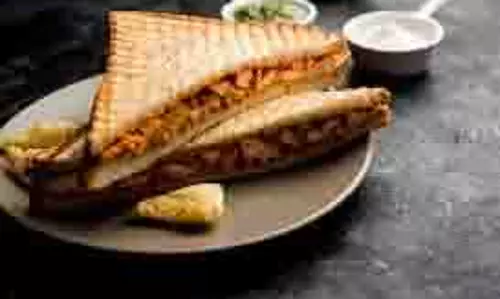 Tandoori Sandwich:बच्चों के लिए बनाएं स्पाइसी तंदूरी सैंडविच