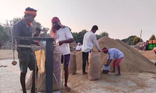 Haryana :  भारी आवक और धीमी उठान के कारण अंबाला कैंट मंडी में जगह की कमी