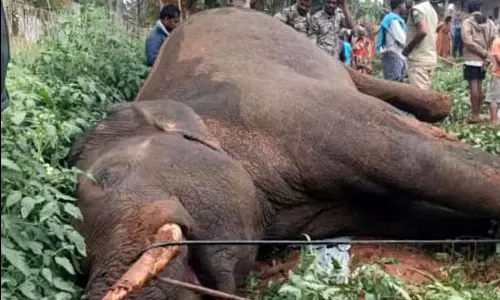 Channapatna : बिजली के तार की चपेट में आने से एक अकेले मछुआरे की मौत हो गई Channapatna : बिजली के तार की चपेट में आने से एक अकेले मछुआरे की मौत हो गई
