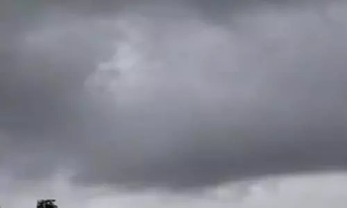 CG IMD : प्रदेश में अब तक 1182.4 मिमी औसत वर्षा दर्ज