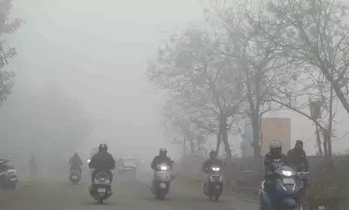 Phagwara में मौसम का पहला कोहरा, तापमान 4 डिग्री सेल्सियस गिरा, बारिश की संभावना Phagwara में मौसम का पहला कोहरा, तापमान 4 डिग्री सेल्सियस गिरा, बारिश की संभावना