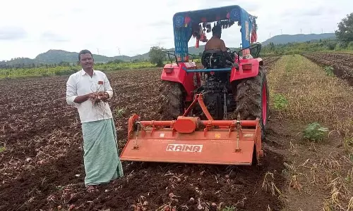 Vijayanagar कीमतों में गिरावट: किसान ने प्याज की फसल नष्ट की Vijayanagar कीमतों में गिरावट: किसान ने प्याज की फसल नष्ट की