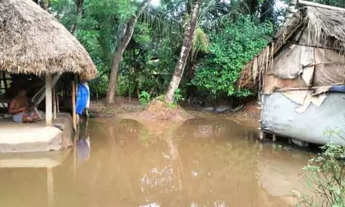 Bhograi में भारी बारिश से जनजीवन अस्त-व्यस्त Bhograi में भारी बारिश से जनजीवन अस्त-व्यस्त