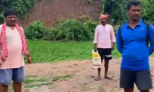 Gajapati: भारी बारिश से धान-मक्का फसल तबाह, किसानों ने मांगी मदद Gajapati: भारी बारिश से धान-मक्का फसल तबाह, किसानों ने मांगी मदद