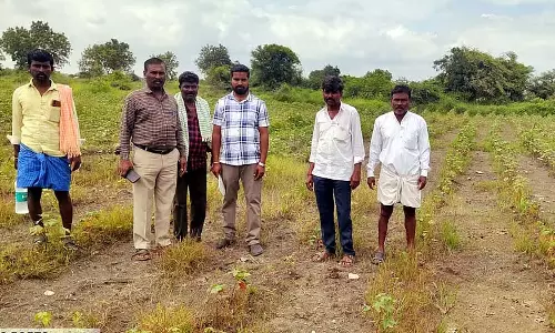 Karnataka : बारिश से कपास और चावल को नुकसान, किसान परेशान