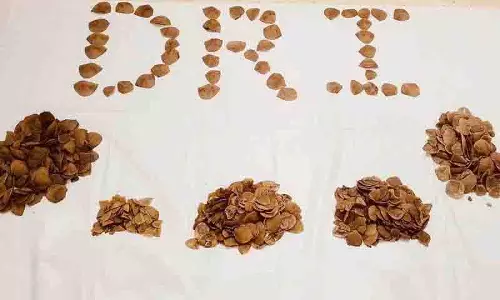 DRI ने हनमकोंडा में 6.53 kg पैंगोलिन स्केल जब्त किया, 4 गिरफ्तार