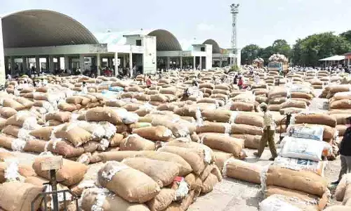 Telangana में कपास किसानों के सामने बड़ा विपणन संकट