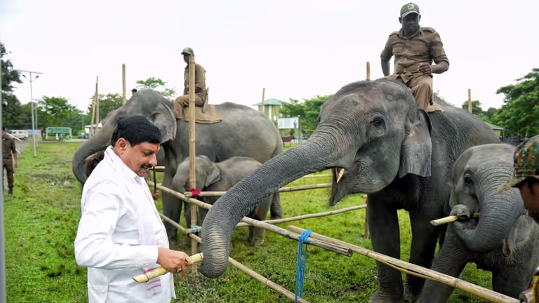 Assam : मध्य प्रदेश के मुख्यमंत्री मोहन यादव ने काजीरंगा के संरक्षण मॉडल की प्रशंसा की Assam : मध्य प्रदेश के मुख्यमंत्री मोहन यादव ने काजीरंगा के संरक्षण मॉडल की प्रशंसा की