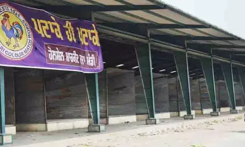 Ludhiana: एसोसिएशन ने पटाखा बिक्री का लाइसेंस पाने के लिए फर्जी अनुभव पत्रों के इस्तेमाल की शिकायत की