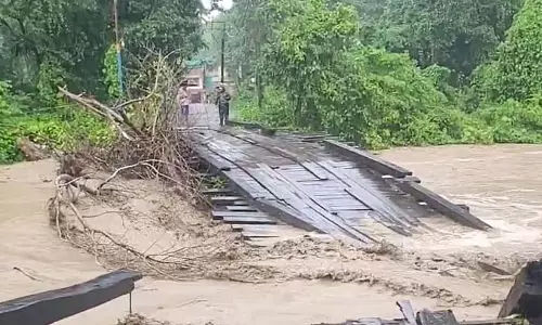Halong Bridge ढह गया, जलदापारा टूरिस्ट लॉज डूब गया Halong Bridge ढह गया, जलदापारा टूरिस्ट लॉज डूब गया