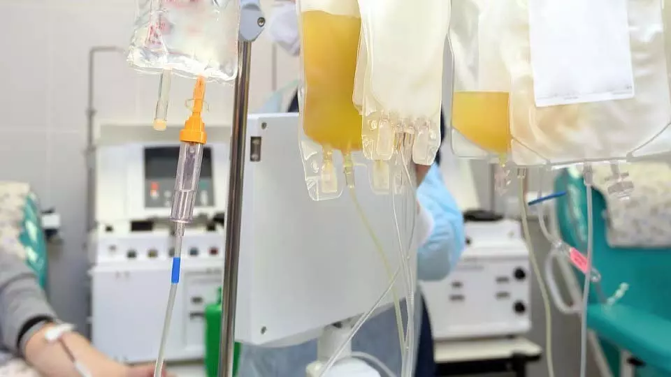 Bhopal : एम्स ब्लड बैंक से प्लाज्मा चोरी करने के आरोप में दो गिरफ्तार Bhopal : एम्स ब्लड बैंक से प्लाज्मा चोरी करने के आरोप में दो गिरफ्तार