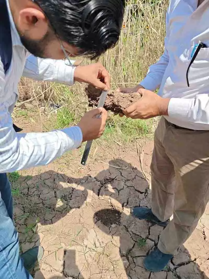 Punjab में बाढ़ से मिट्टी की संरचना बदली, कृषि उत्पादन प्रभावित होने की आशंका Punjab में बाढ़ से मिट्टी की संरचना बदली, कृषि उत्पादन प्रभावित होने की आशंका