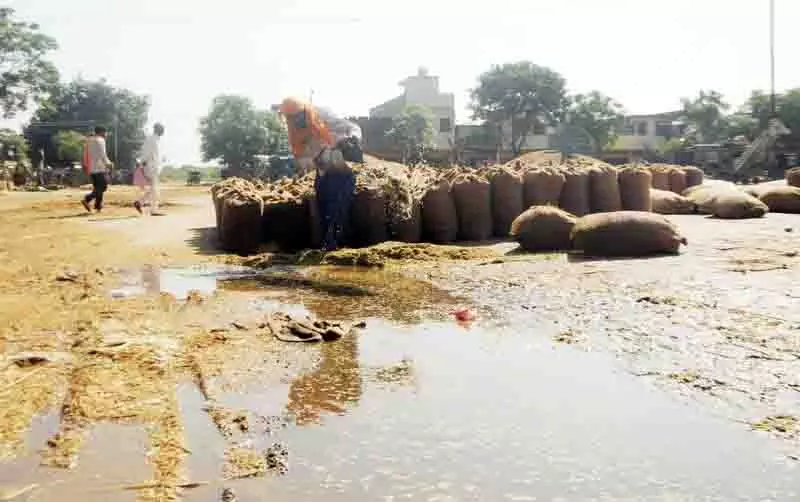Punjab: बांधों में जलस्तर घटा, किसान भारी बारिश की आशंका से जूझ रहे Punjab: बांधों में जलस्तर घटा, किसान भारी बारिश की आशंका से जूझ रहे