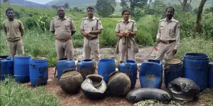 आबकारी विभाग ने Koraput में 2,100 लीटर अवैध शराब जब्त की आबकारी विभाग ने Koraput में 2,100 लीटर अवैध शराब जब्त की
